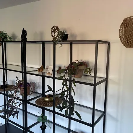 Schroeder Apartmán *
